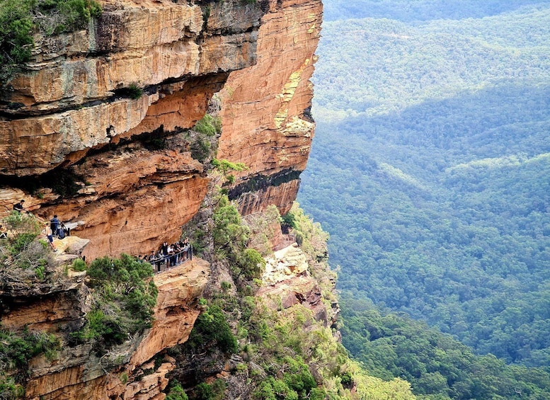 Picture 19 for Activity From Sydney: Blue Mountains Tour with Waterfall Walk & Lunch