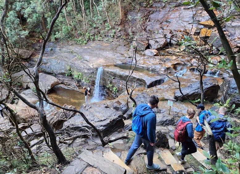 Picture 7 for Activity From Sydney: Blue Mountains Tour with Waterfall Walk & Lunch