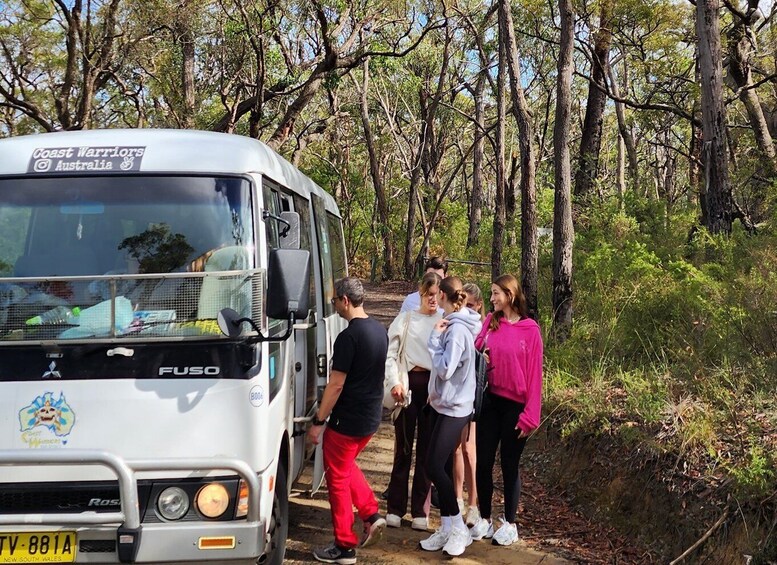 Picture 8 for Activity From Sydney: Blue Mountains Tour with Waterfall Walk & Lunch