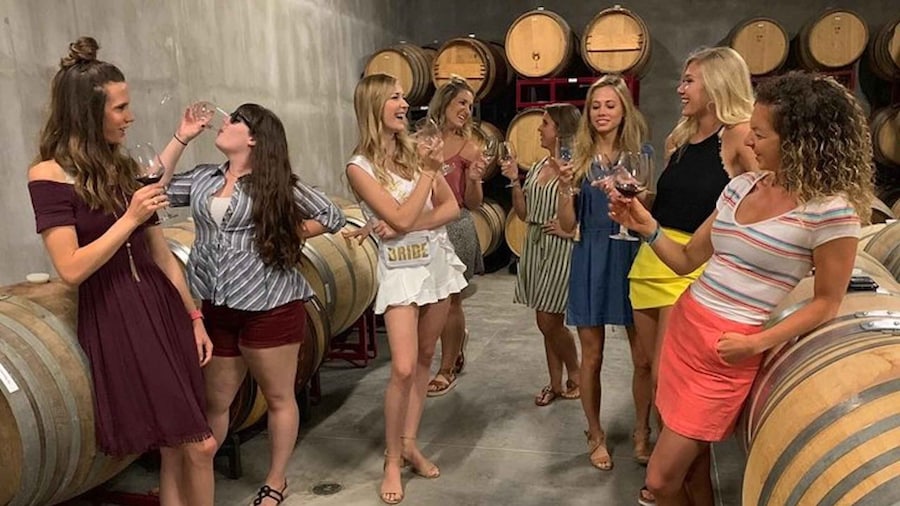 Granbury: Wine Tour with Charcuterie and Local Tastings
