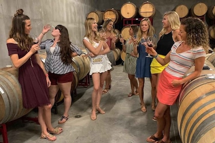 Granbury: Wine Tour with Charcuterie and Local Tastings