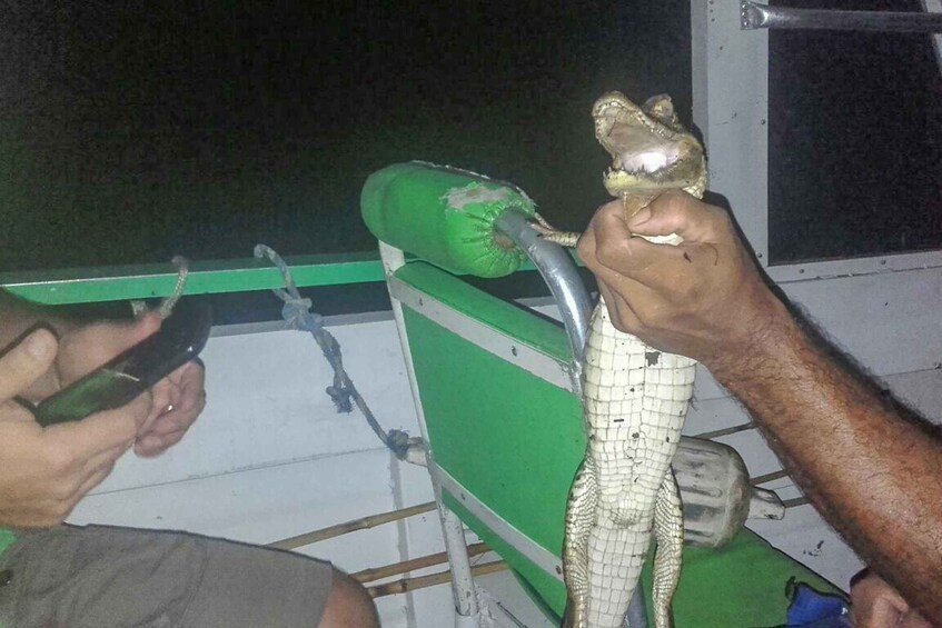 Picture 6 for Activity Manaus: Piranha Fishing and Alligator Watch Evening Tour