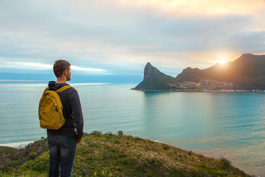 Picture 1 for Activity Table Mountain, Boulders Penguins & Cape point Private Tour