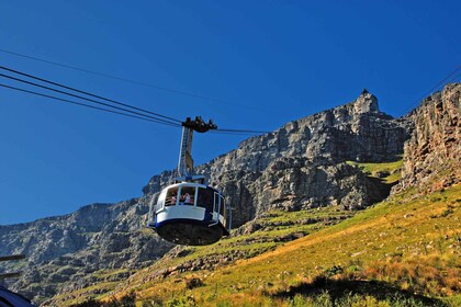 桌山、巨石企鹅和好望角私人之旅