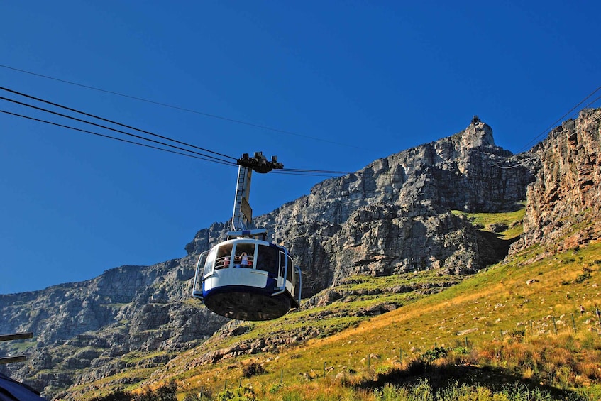 Table Mountain, Boulders Penguins & Cape point Private Tour