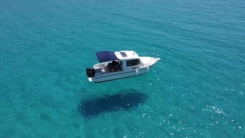 Desde Zadar: recorrido privado en lancha rápida por la playa de Sakarun