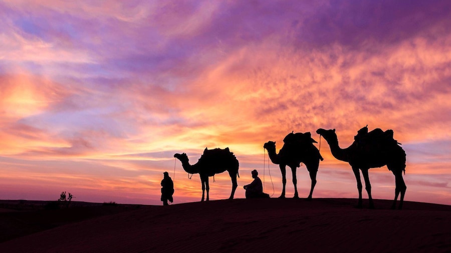 Douz: Camp stay with dinner, sunset & sunrise by camel