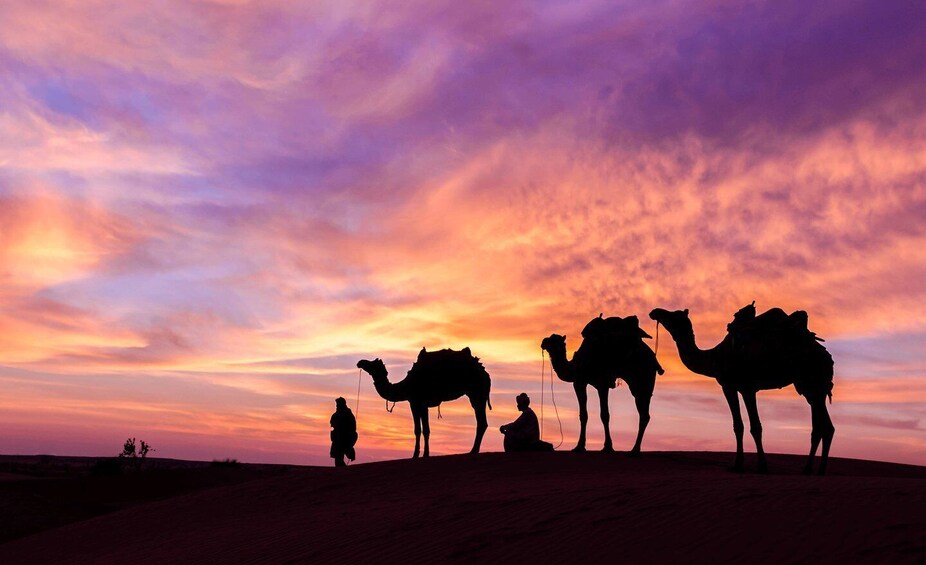Douz: Camp stay with dinner, sunset & sunrise by camel