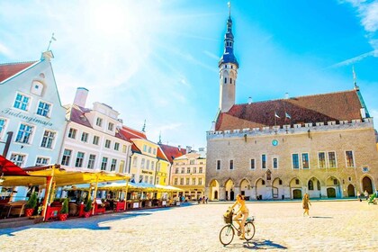 Lujo Privado Tallin desde el Puerto de Cruceros con Coche y Guía