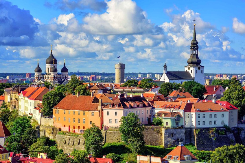 Picture 8 for Activity Highlights of Tallinn Private Tour