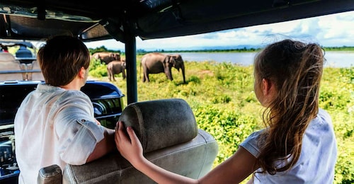 Fra Colombo: Safari i Yala Nationalpark med transfer