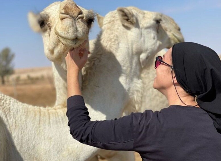 Picture 1 for Activity From Riyadh: Tuwaiq Mountain and Old Camel Tracks Day Trip