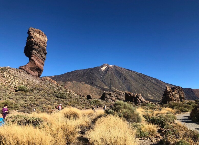 Tenerife: Mount Teide, Masca, Icod and Garachico Day Trip