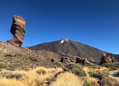 Tenerife: Dagstur til Teide-fjellet, Masca, Icod og Garachico