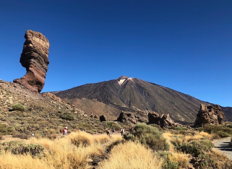 Teide and Northern Tenerife: Grand Tour