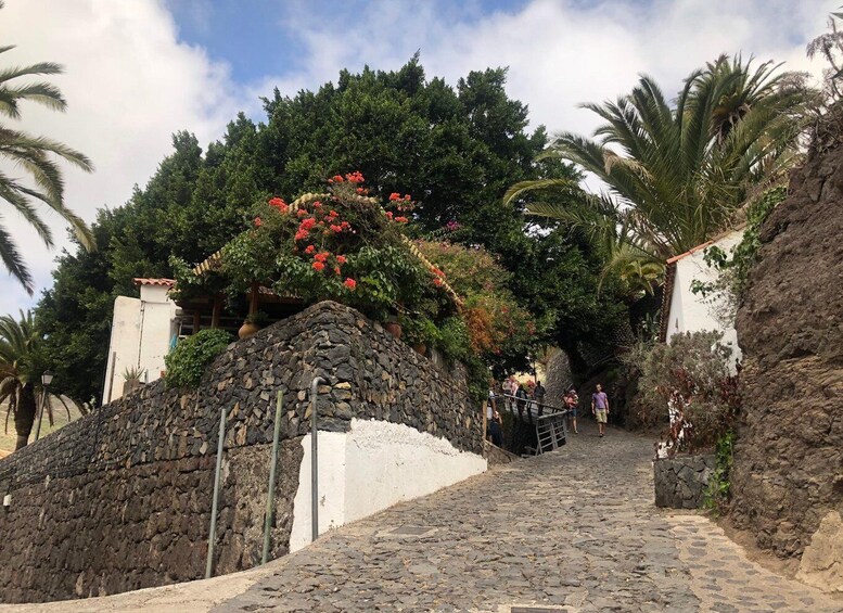 Picture 6 for Activity Tenerife: Mount Teide, Masca, Icod and Garachico Day Trip