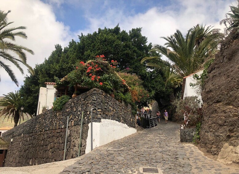 Picture 6 for Activity Tenerife: Mount Teide, Masca, Icod and Garachico Day Trip