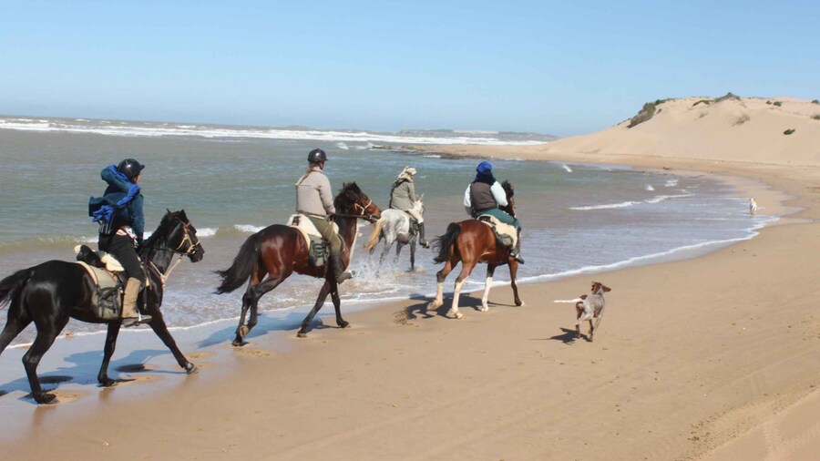 From Essaouira: 1-Hour Horse Ride