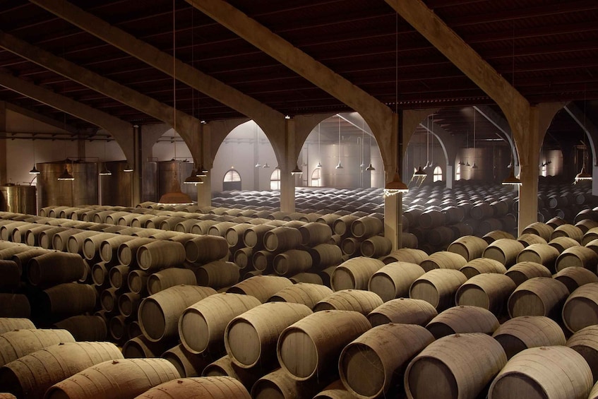 Picture 1 for Activity From Cádiz: Private Trip to Jerez with Winery