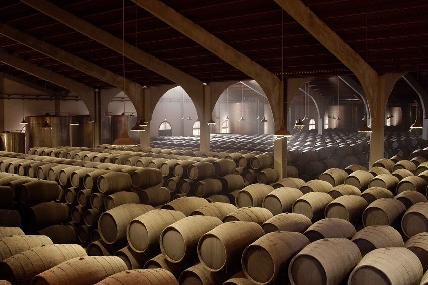 Picture 1 for Activity From Cádiz: Private Trip to Jerez with Winery