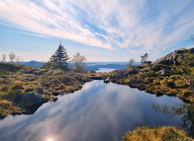 Picture 5 for Activity Bergen: Mountain hike on top of Bergen - Public tour