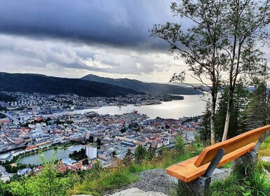 Bergen: Bergwanderung auf dem Gipfel von Bergen - Öffentliche Tour