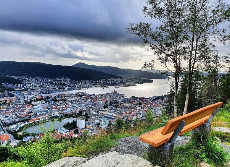 Picture 2 for Activity Bergen: Mountain hike on top of Bergen - Public tour