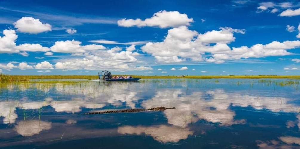 Picture 3 for Activity Fort Lauderdale: Everglades Express Tour with Airboat Ride