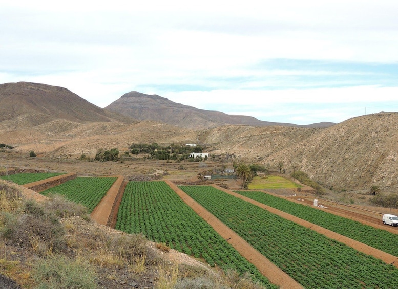 Picture 14 for Activity Fuerteventura: Island Highlights Guided VIP Sightseeing Tour