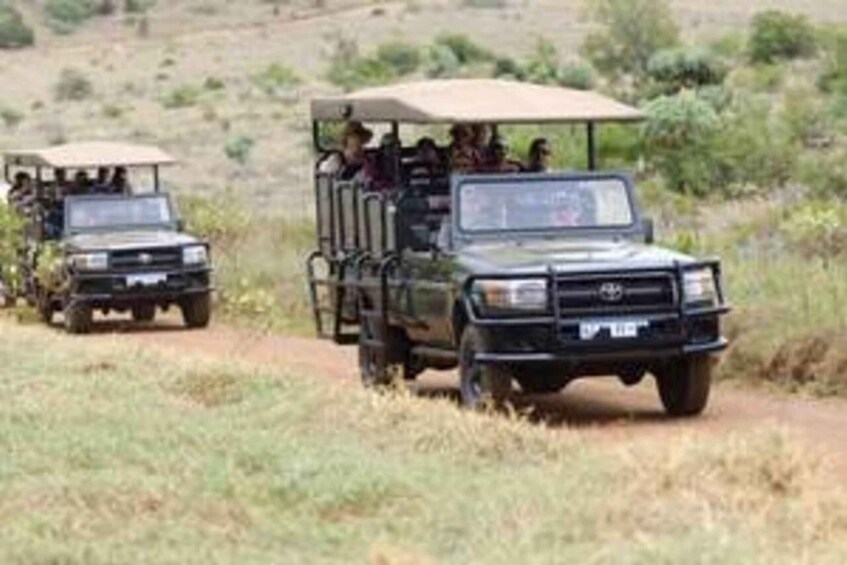 Picture 3 for Activity Private Game Drive - 10 Seater