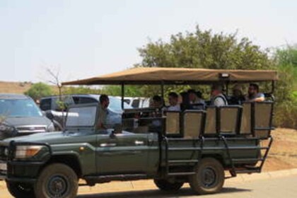 Private Game Drive - 10 Seater