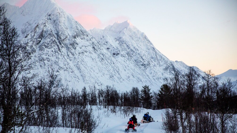 Snowmobile group travels down trail in Lyngen