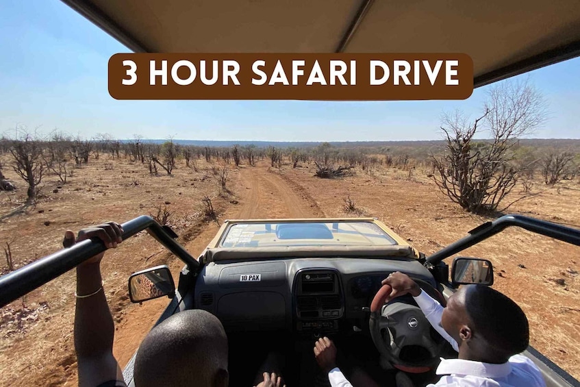 Victoria Falls: 3 Hour Safari Drive