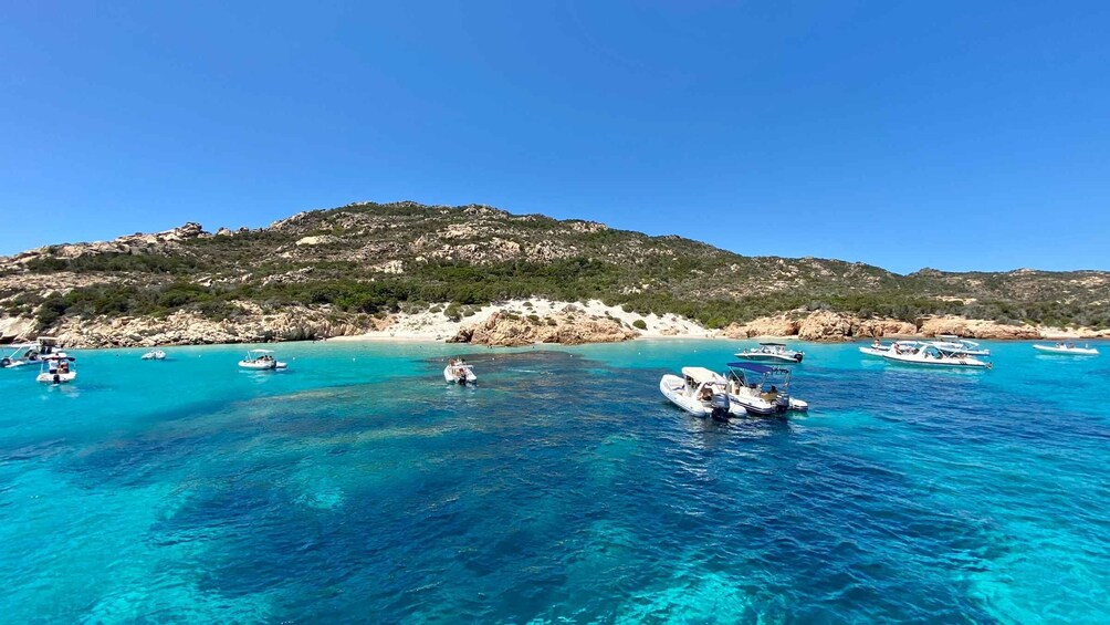 Picture 6 for Activity From La Maddalena and Palau: Tour of Budelli & Santa Maria