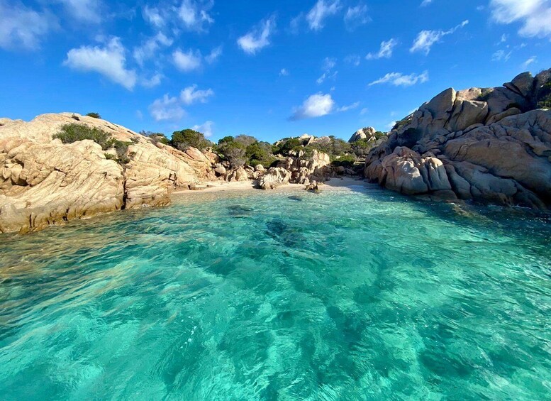 Picture 4 for Activity From La Maddalena and Palau: Tour of Budelli & Santa Maria