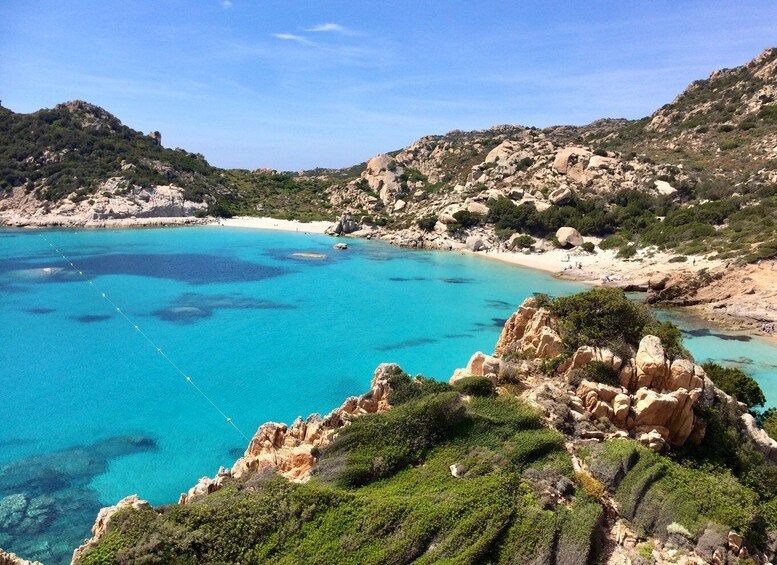 Picture 2 for Activity From La Maddalena and Palau: Tour of Budelli & Santa Maria