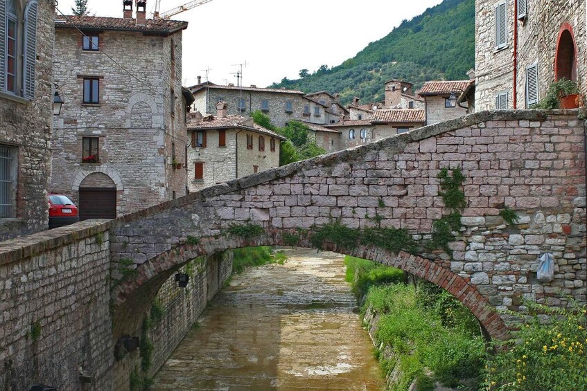 Picture 1 for Activity Transfer to Gubbio