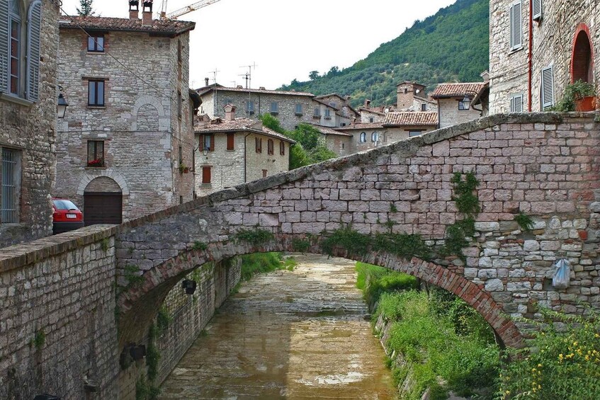 Picture 1 for Activity Transfer to Gubbio