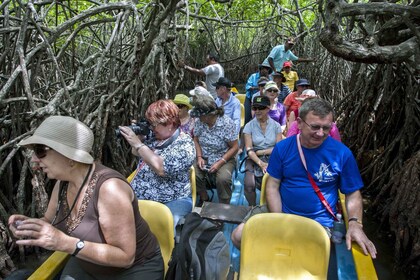 Vanuit Negombo: Bentota Hele Dag Tour