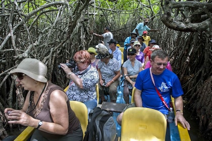 จากเนกอมโบ: ทัวร์เต็มวัน Bentota