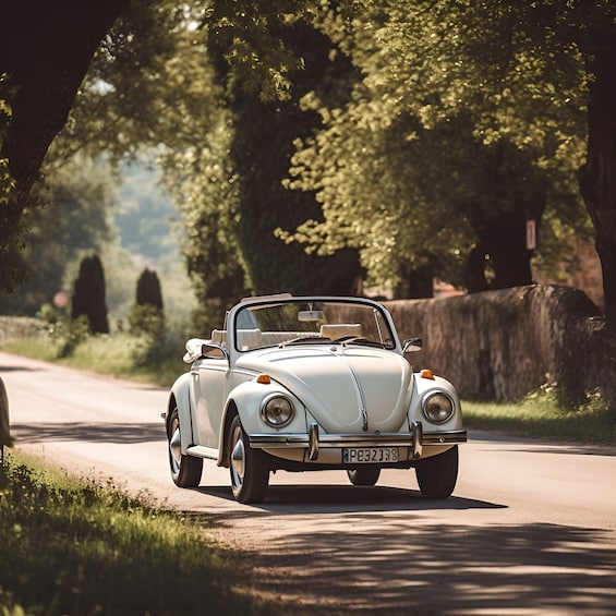 Picture 1 for Activity Discover Modena and its province in a 1974 Beetle