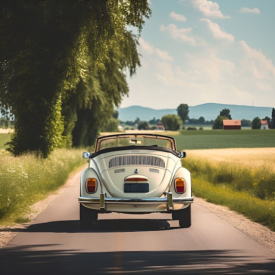 Picture 3 for Activity Discover Modena and its province in a 1974 Beetle