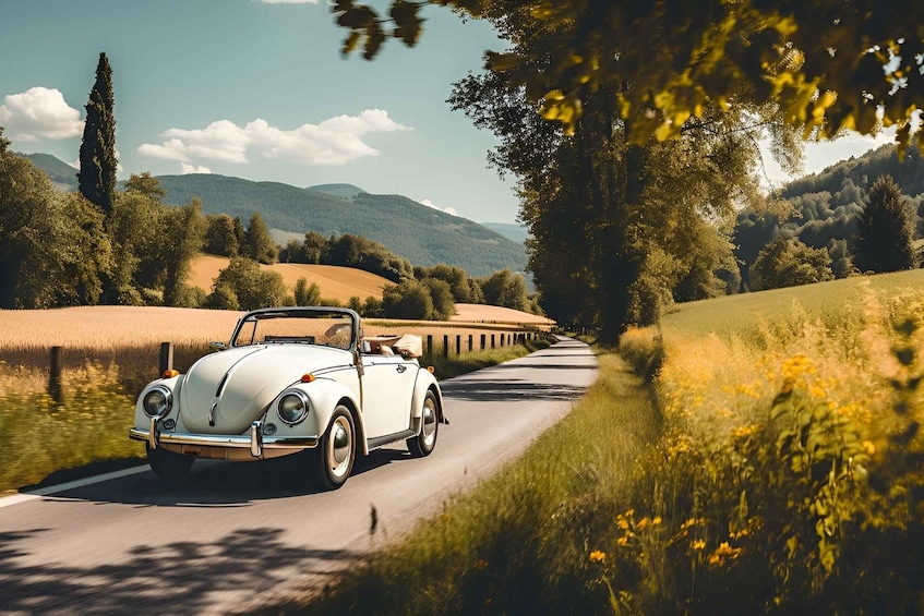 Picture 4 for Activity Discover Modena and its province in a 1974 Beetle