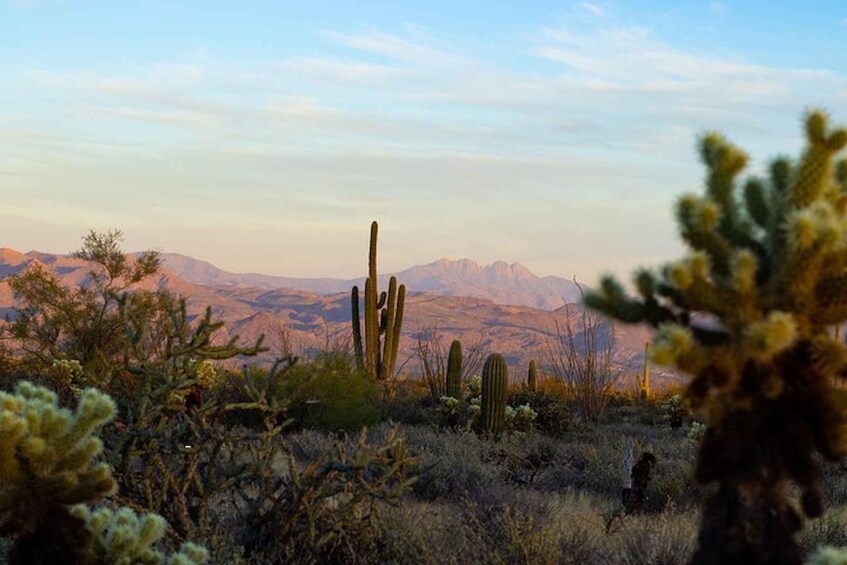 Picture 1 for Activity Sonoran Desert: Sunset Jeep Tour with Tonto National Forest