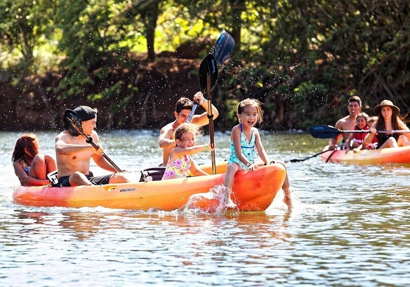 Picture 58 for Activity North Shore's best day! River, Turtles, Farm with Lunch