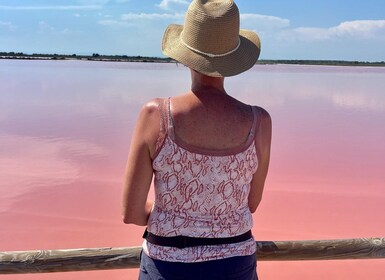 From Montpellier: Camargue and Salt Marshes Guided Tour