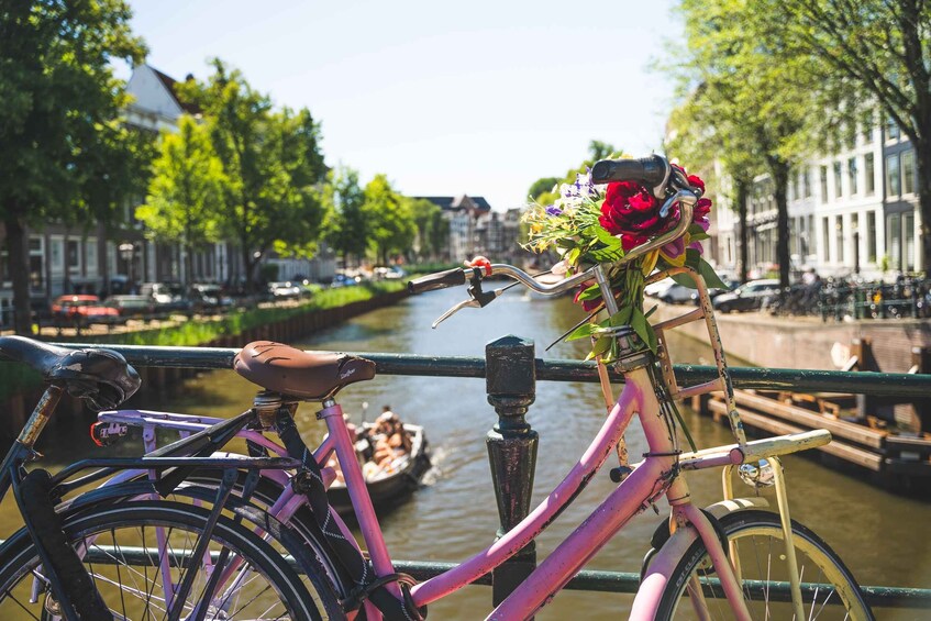 Picture 6 for Activity Amsterdam: Countryside Bike Tour