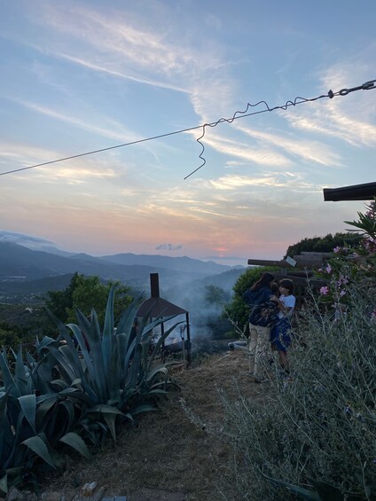 Picture 7 for Activity Elba: Tuscan Farmhouse Tasting