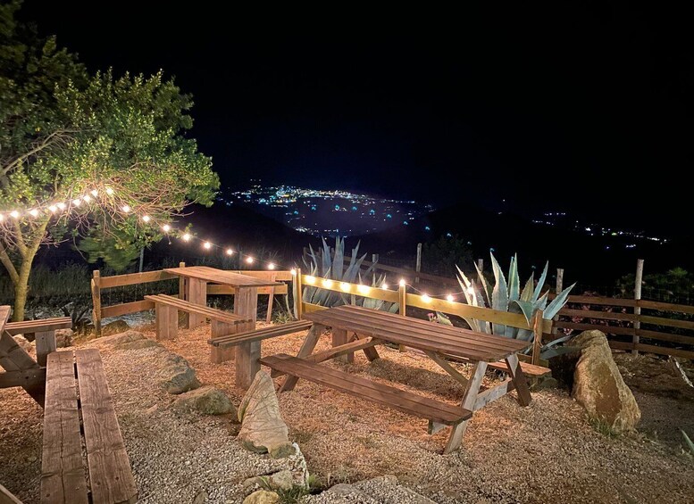 Picture 4 for Activity Elba: Tuscan Farmhouse Tasting