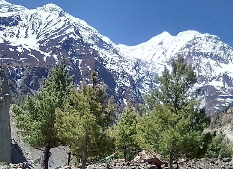 Picture 6 for Activity 17 Nights 18 Days Annapurna Circuit, Tilicho and Poon Hill